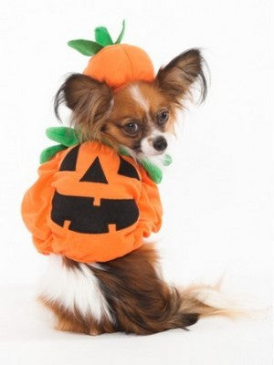Pumpkin Costume