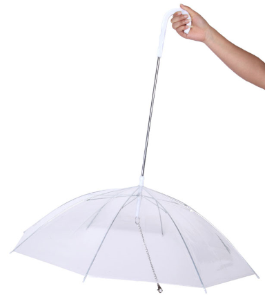Umbrella