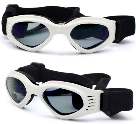 Fashion Dog Sunglasses