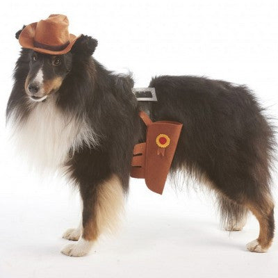 Cowboy Costume